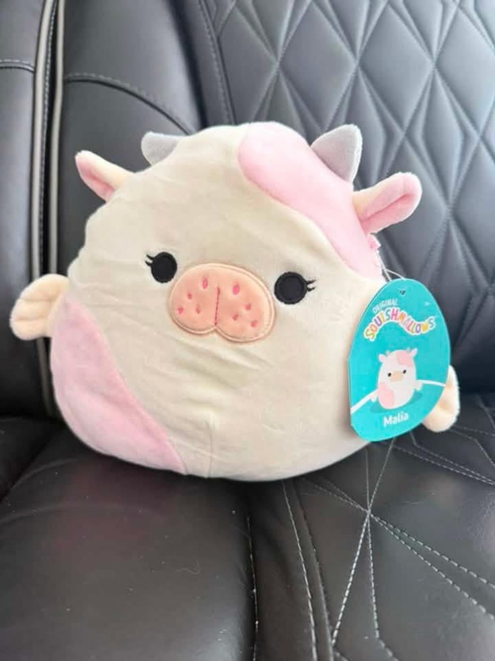 NWT SQUISHMALLOW